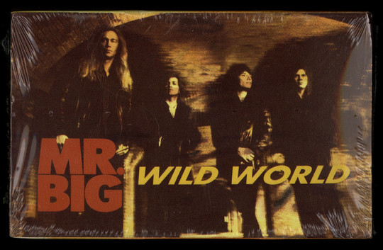 Mr. Big cassingle front image