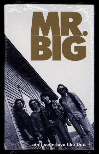 Mr. Big cassingle front image